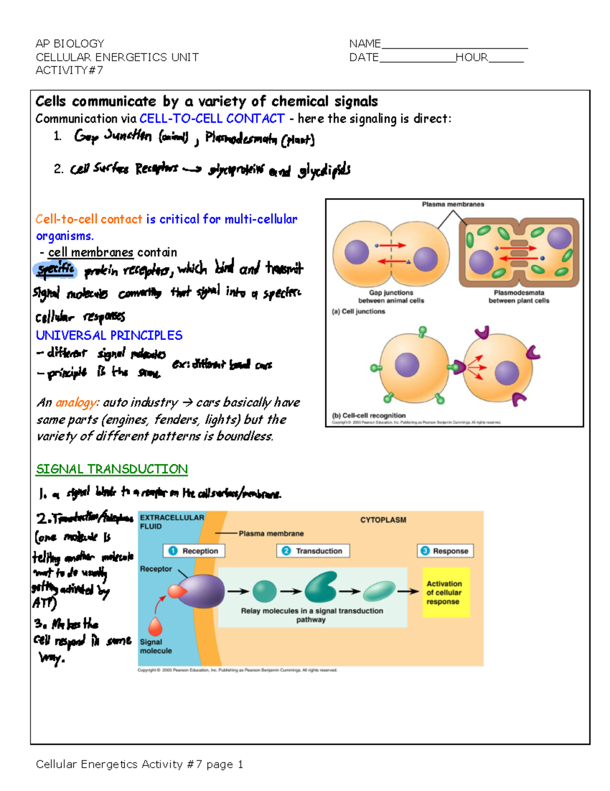 Cell Communication - cell comunicación notes - AP BIOLOGY NAME ...