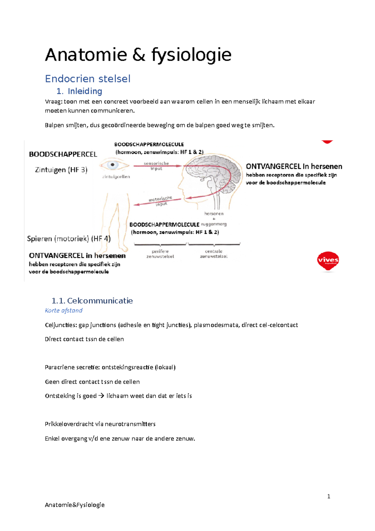 Samenvatting Anatomie&fysiologie 2e Jaar Leerkrachtenopleiding ...