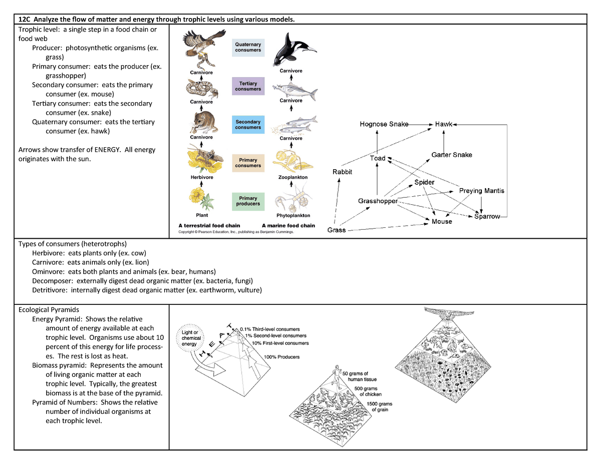 Biology 1 Science Reviewer, More On Biology. Notes And Summary Of ...