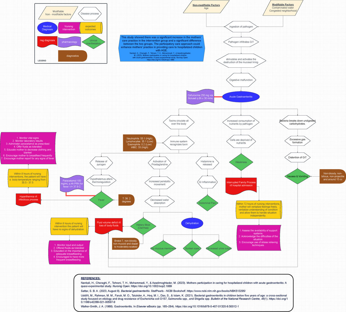 AGE concept map - Modifiable Non - modifiable factors Disease process ...