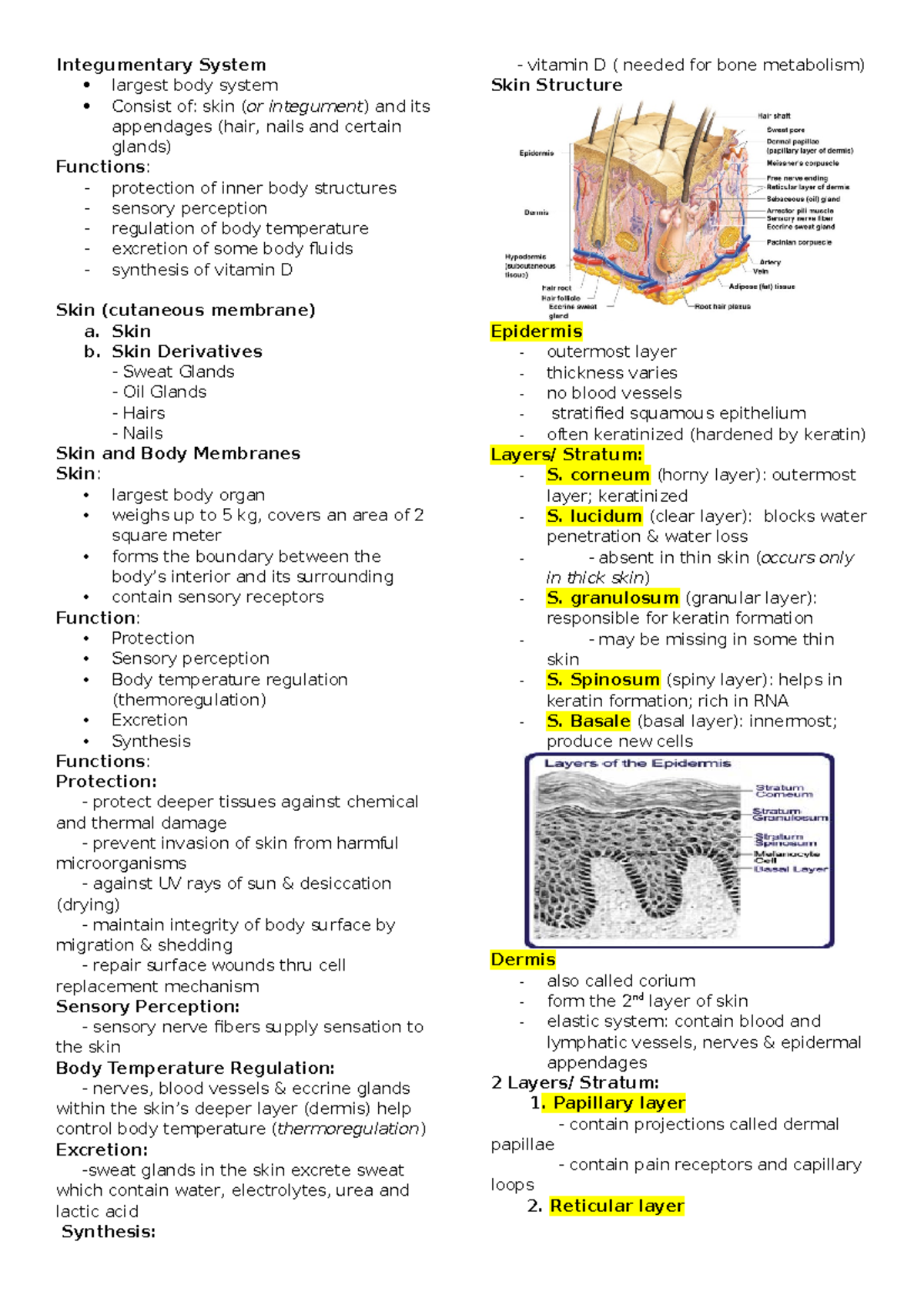 Integumentary System and Skeletal System - Integumentary System largest ...