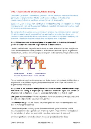 studieopdracht 2 ab_1182 abdomen studeersnel nl studieopdracht