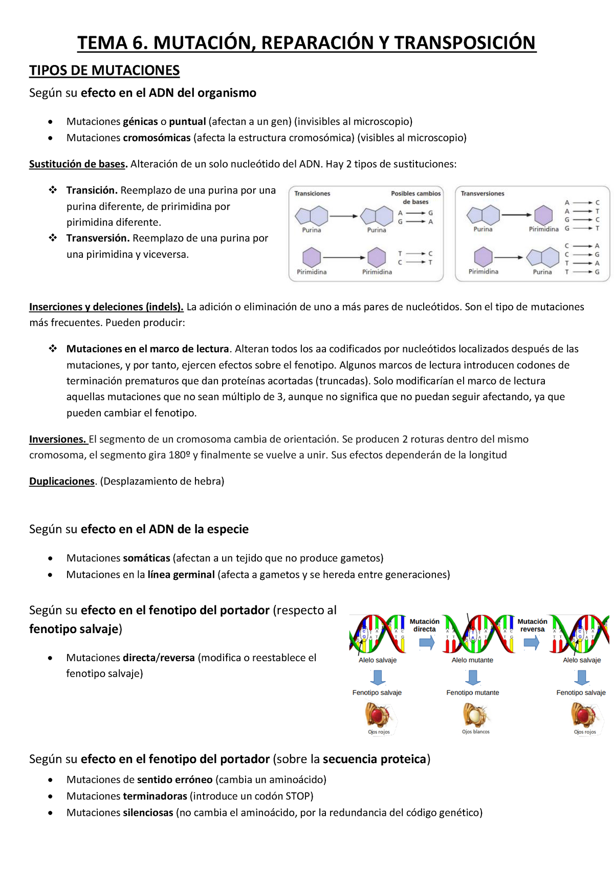 TEMA 6 GEN - Pequeño Resumen Tema 6 Genética 2. Grado Biología - TEMA 6 ...