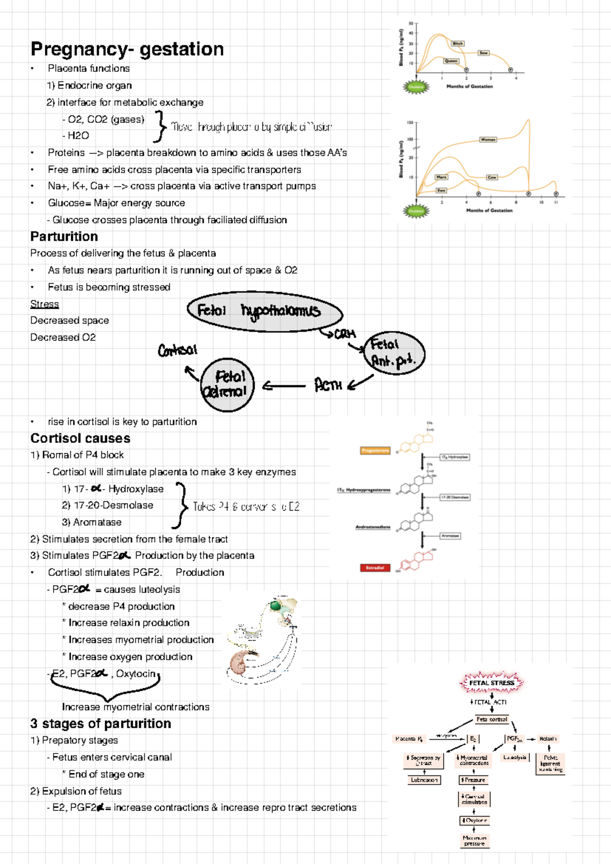 Final Exam Notes Dr. Ryan Ashley Pregnancy gestation Placenta
