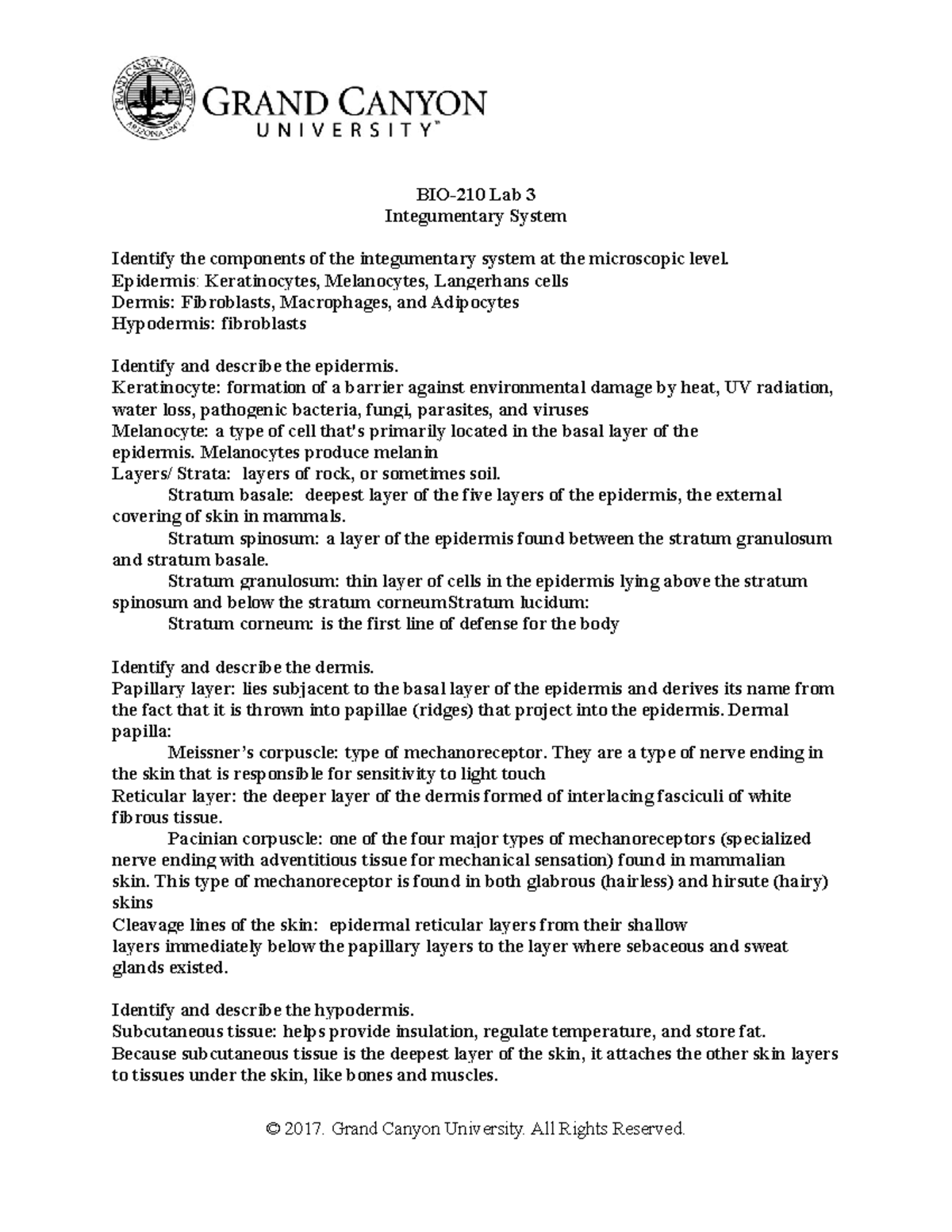 BIO-210L Lab 3 - Integumentary System - BIO-210 Lab 3 Integumentary ...