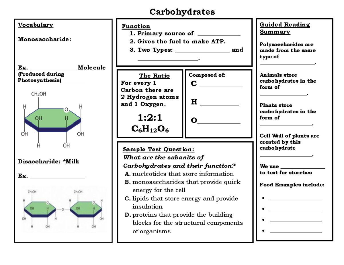 Biomolecules Carbohydrates Graphic Organizer With Key vrogue.co