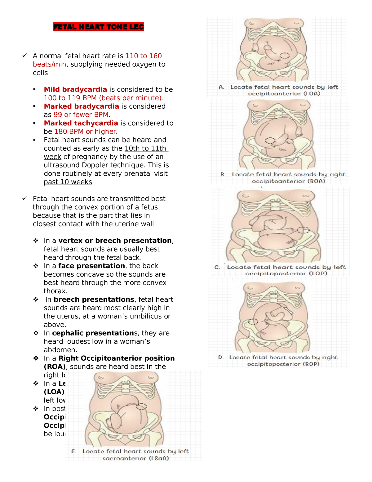 fetal-heart-tone-lec-and-rle-fetal-heart-tone-lec-a-normal-fetal