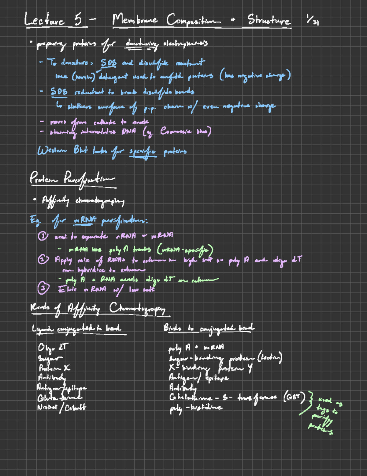 Lecture 5 - Membrane Composition and Structure - Lars-braneComposition ...