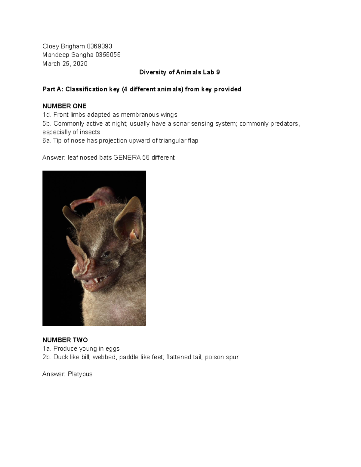 Lab 9 - Lab - Cloey Brigham 0369393 Mandeep Sangha 0356056 March 25 ...