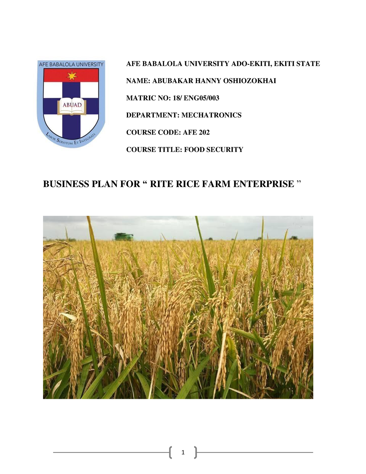 rice farming business plan