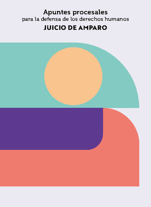 Formato ACTA DE Audiencia Preliminar - ACTA DE AUDIENCIA PRELIMINAR LA