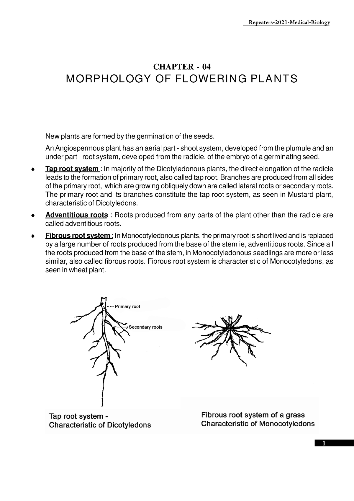 Morphology Flwrng plant - Repeaters-2021-Medical-Biology New plants are ...