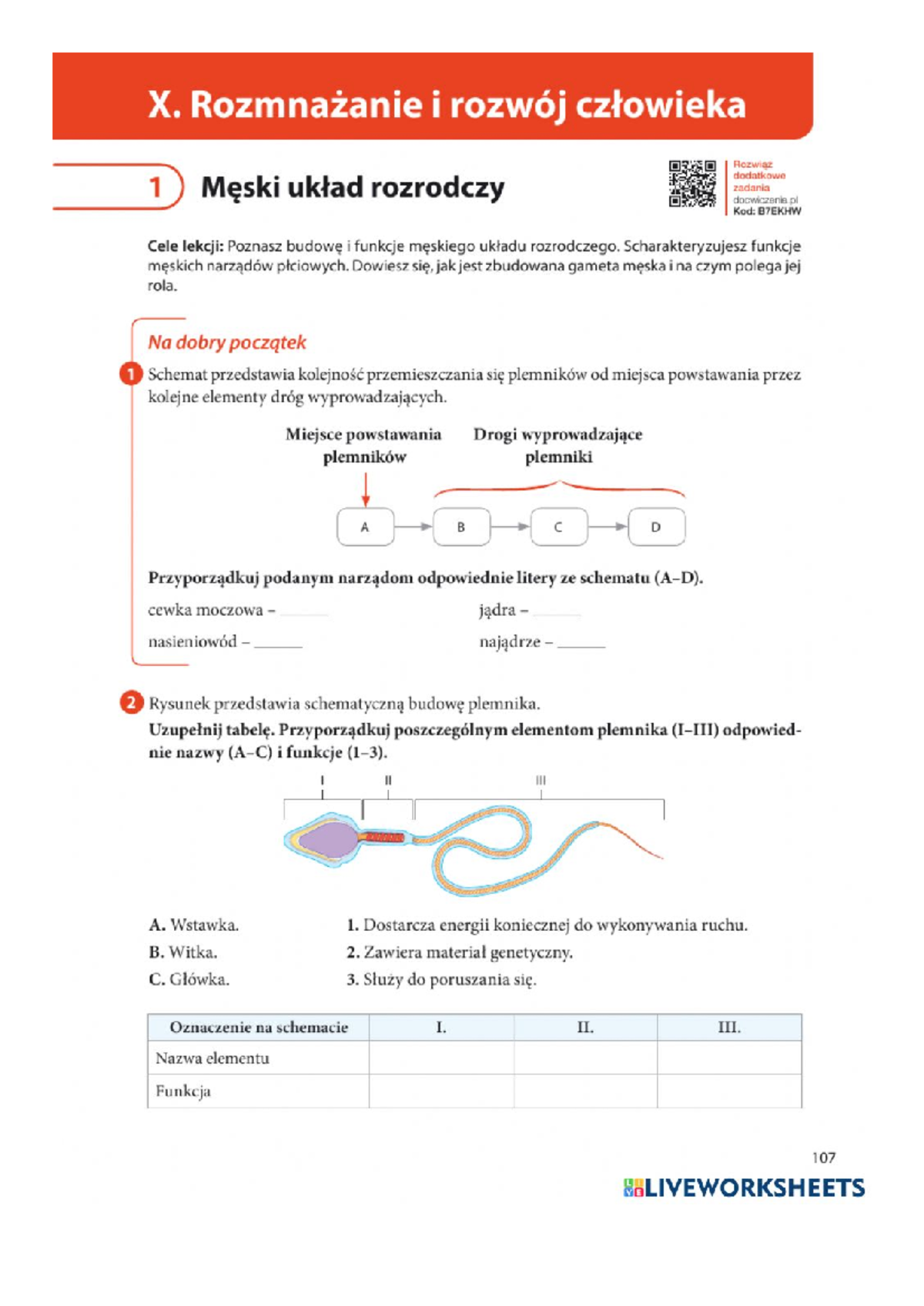Rozmnażanie I Rozwój Człowieka Test Klasa 7 www.studocu.com