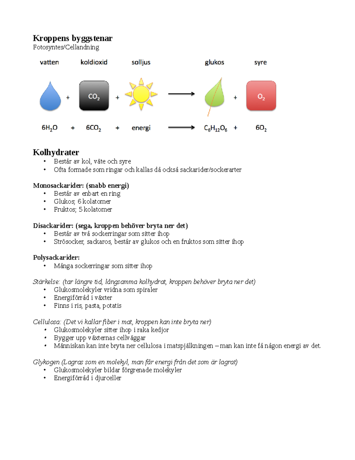 Kroppens Byggstenar - Kroppens Byggstenar Fotosyntes/Cellandning ...