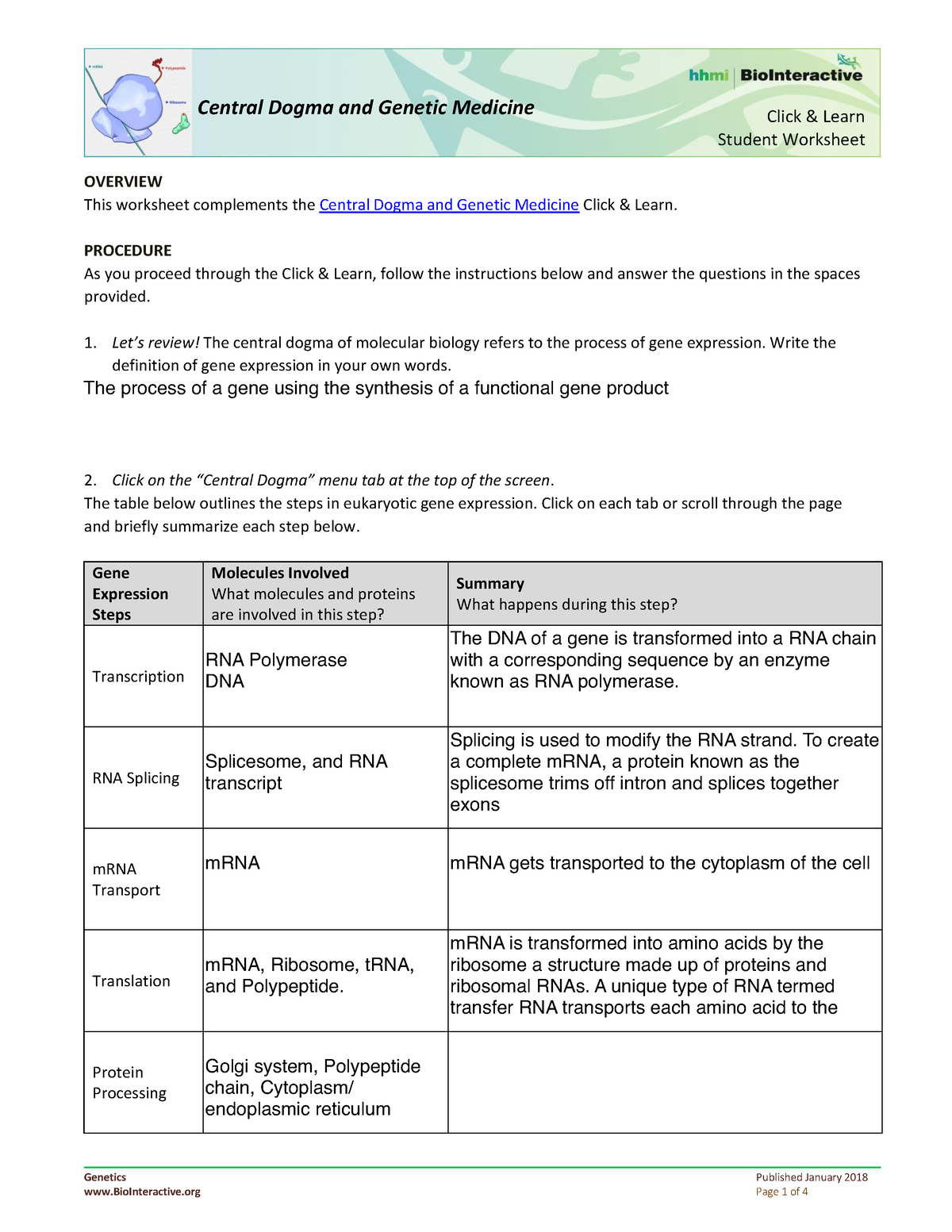 protein-synthesis-worksheet-click-learn-student-worksheet-central-dogma-and-genetic-medicine