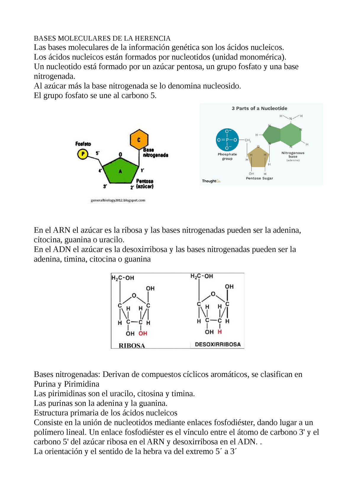 Bases Moleculares De La Herencia - BASES MOLECULARES DE LA HERENCIA Las ...