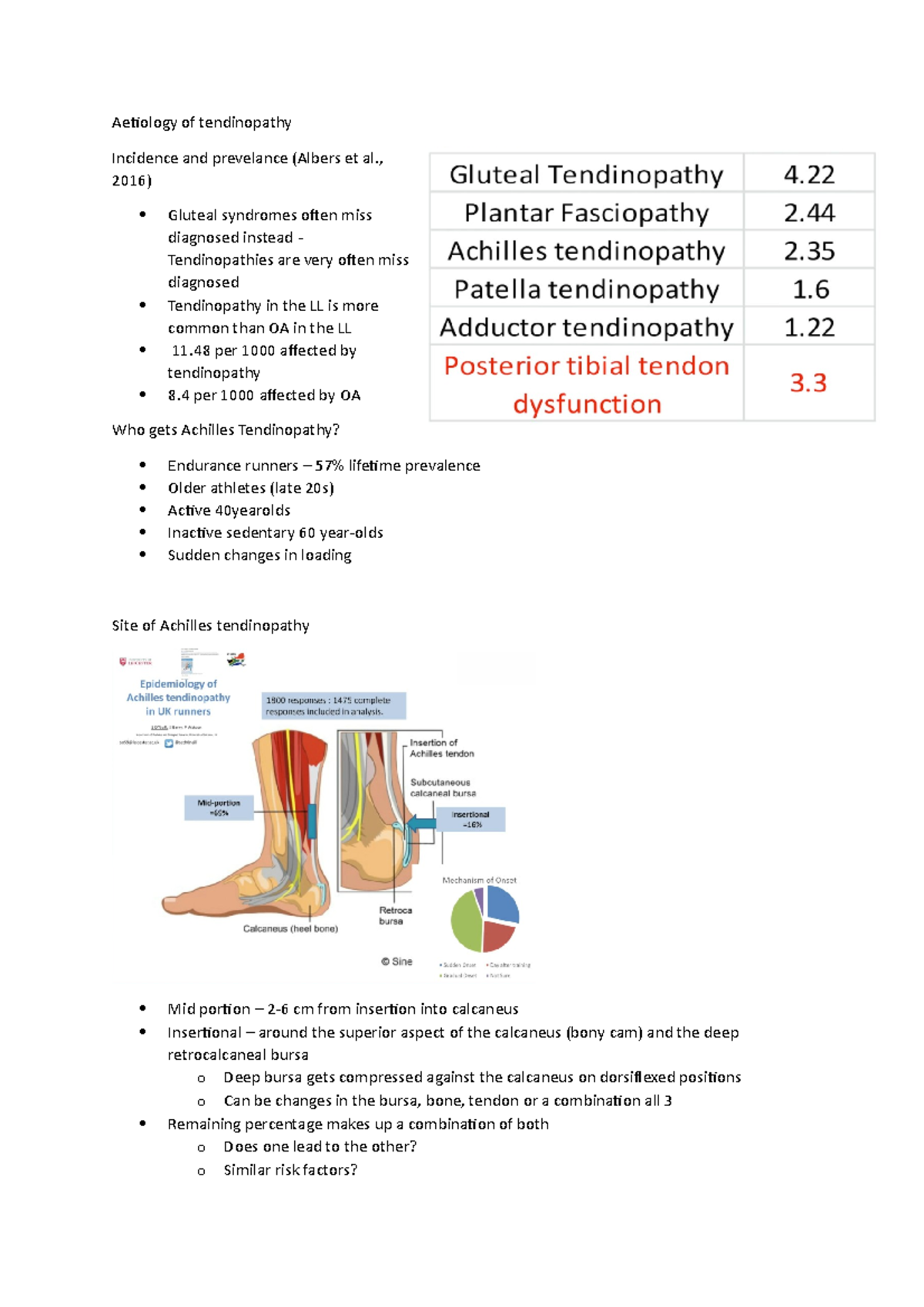 Part 1 - Aetiology Of Tendinopathy - Aetiology Of Tendinopathy ...