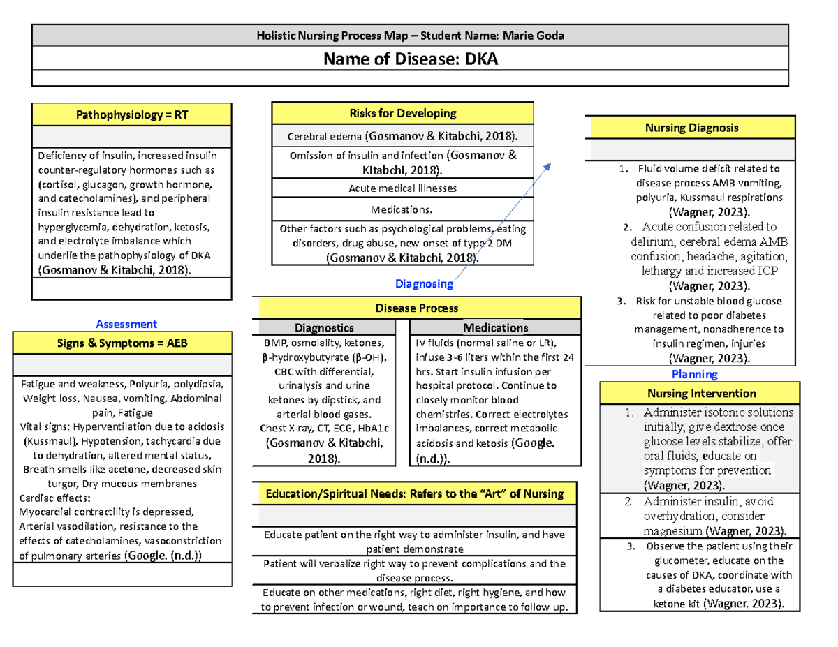 Holistic Nursing Concept Map DKA - Holistic Nursing Process Map ...