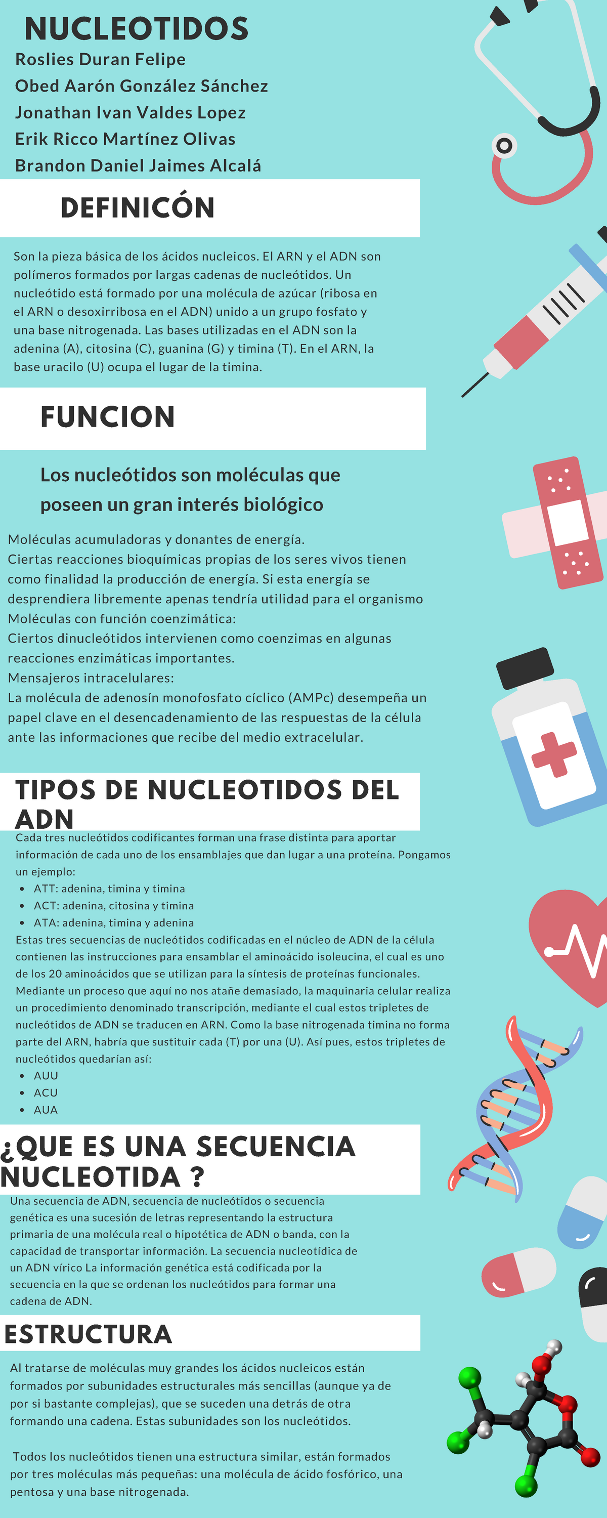 Nucleotidos Apuntes 5 1 Uvm Studocu