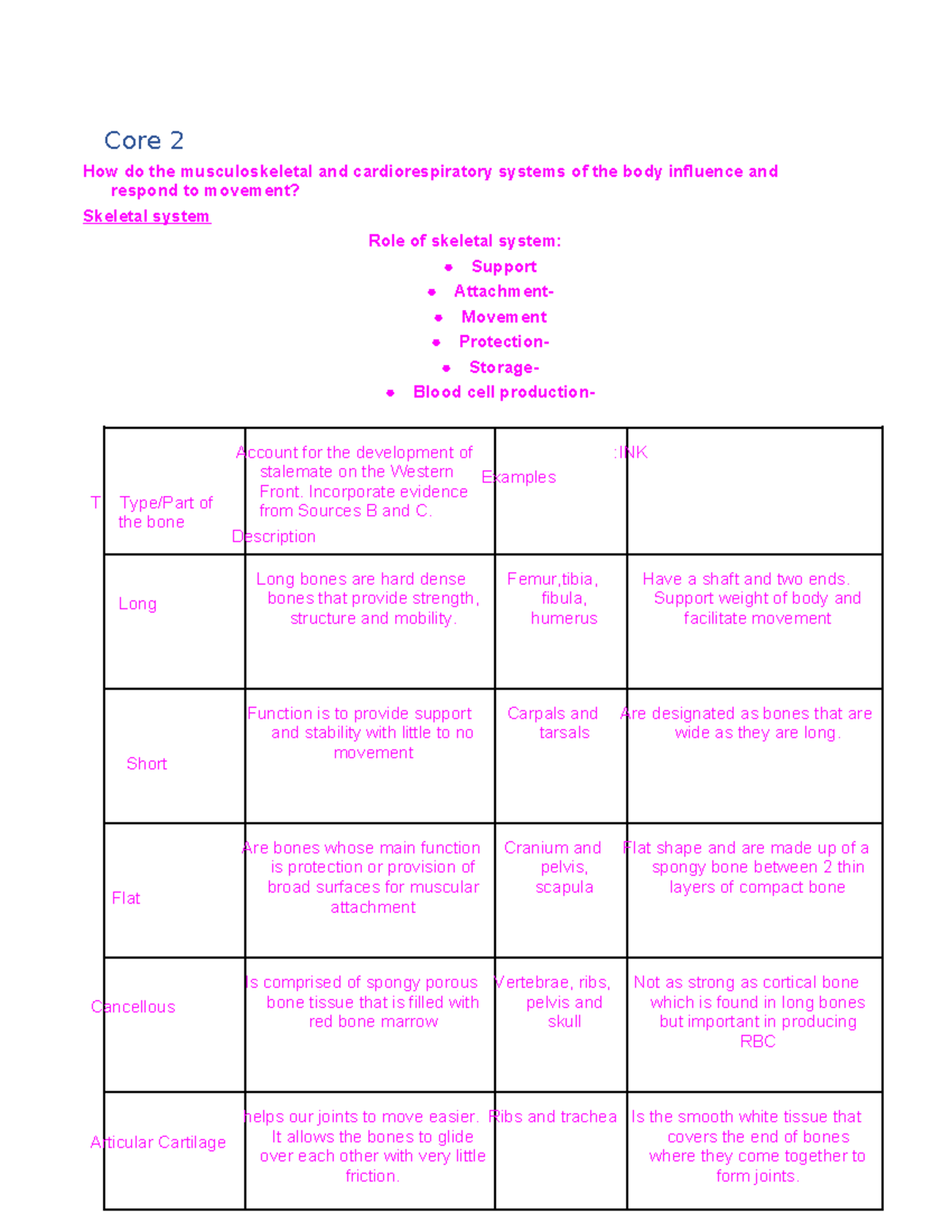 EOY PD Notes - Core 2 How do the musculoskeletal and cardiorespiratory ...