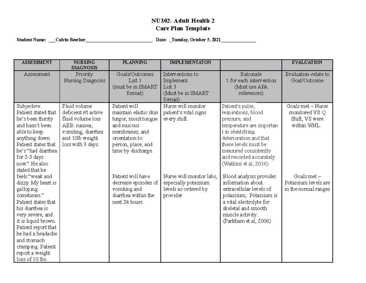 Blank Ability Model Care Plan Template