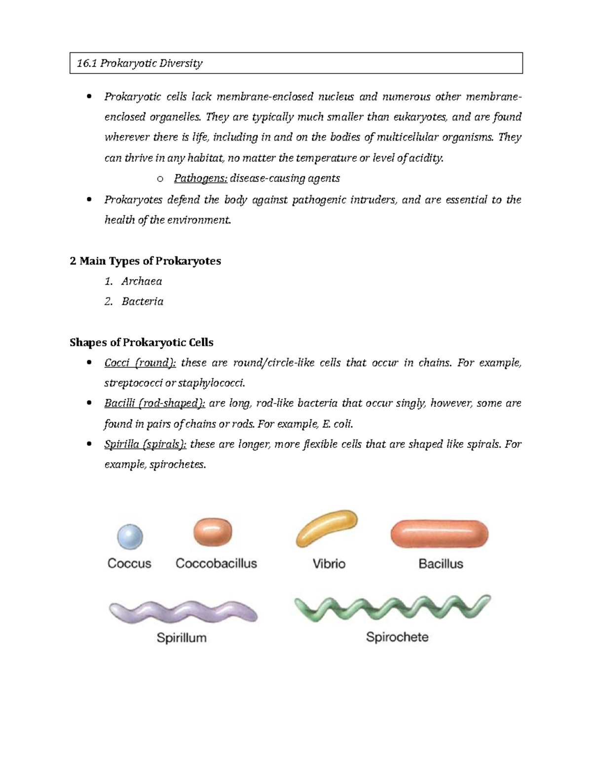 Chapter 16 Study Guide - Lecture Notes 16 - Prokaryotic Cells Lack ...