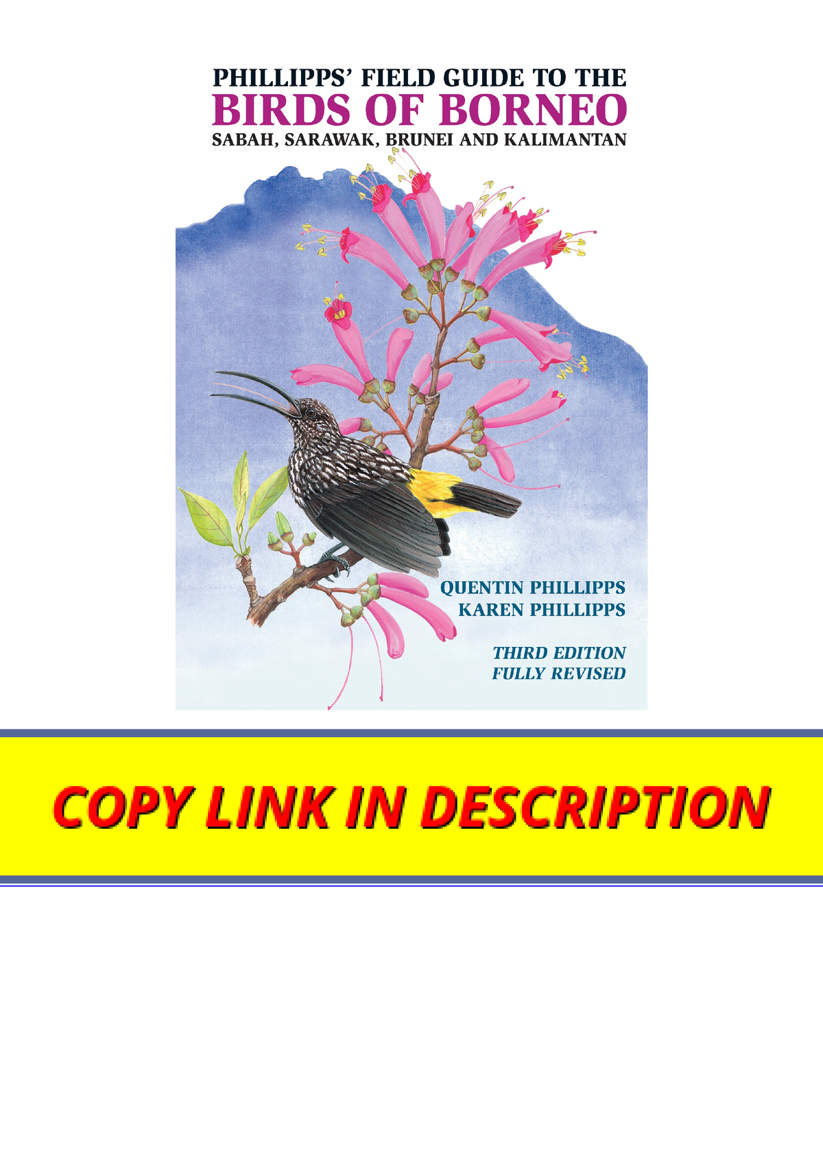 PDF Read Online Phillipps Field Guide To The Birds Of Borneo Sabah ...