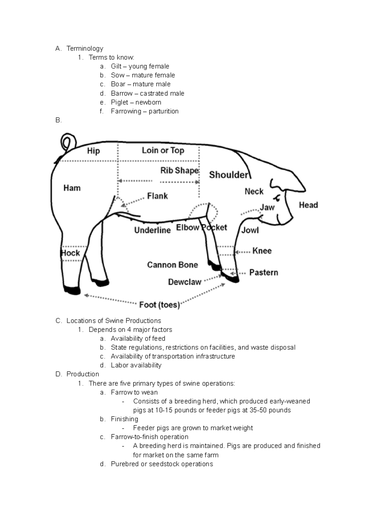 11 Swine Breeds and Production - A. Terminology 1. Terms to know: a ...