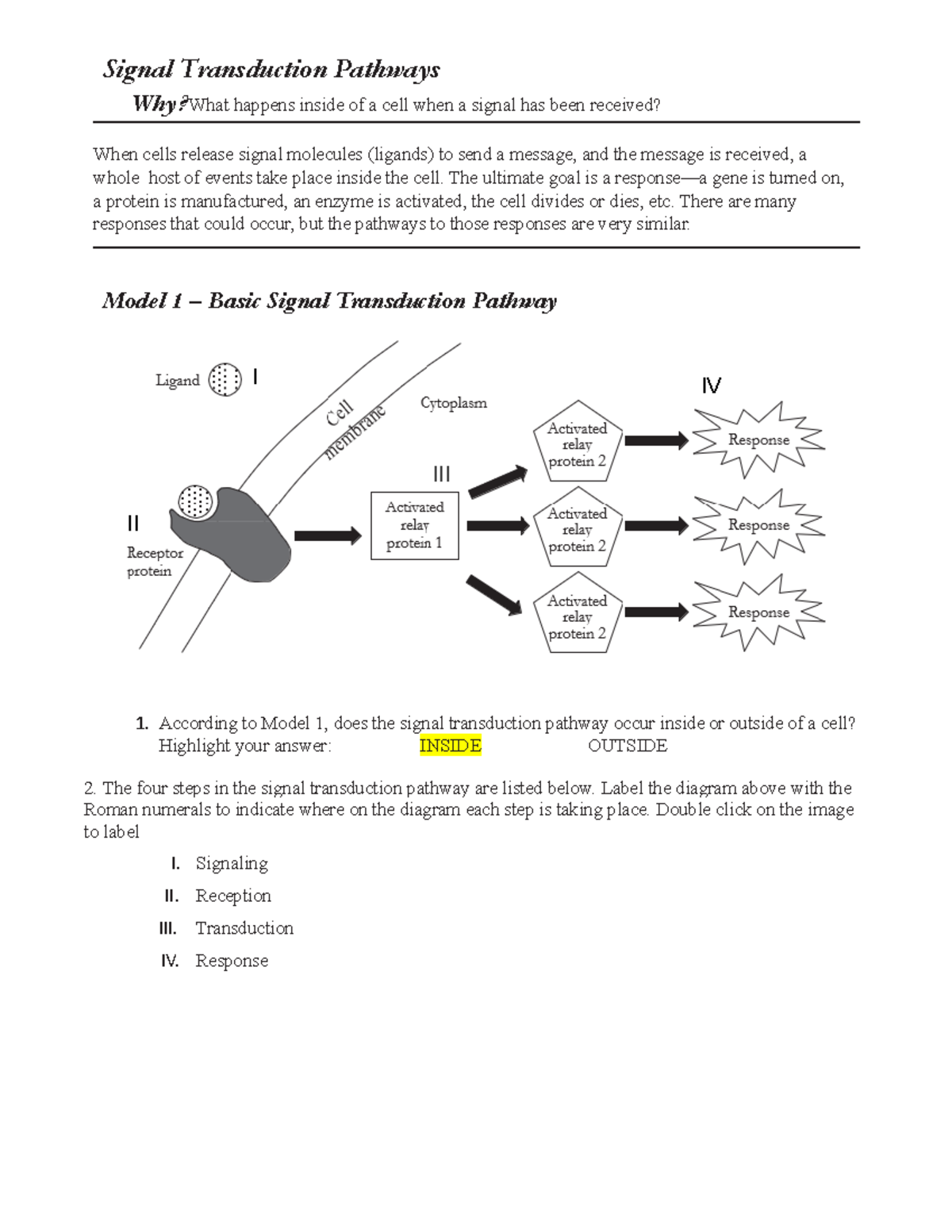 sensory transduction