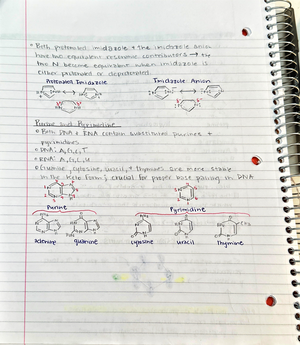 Chem 109C-Lecture 2- Ch 19 Amines and Heterocycles (part 2) - 109C ...