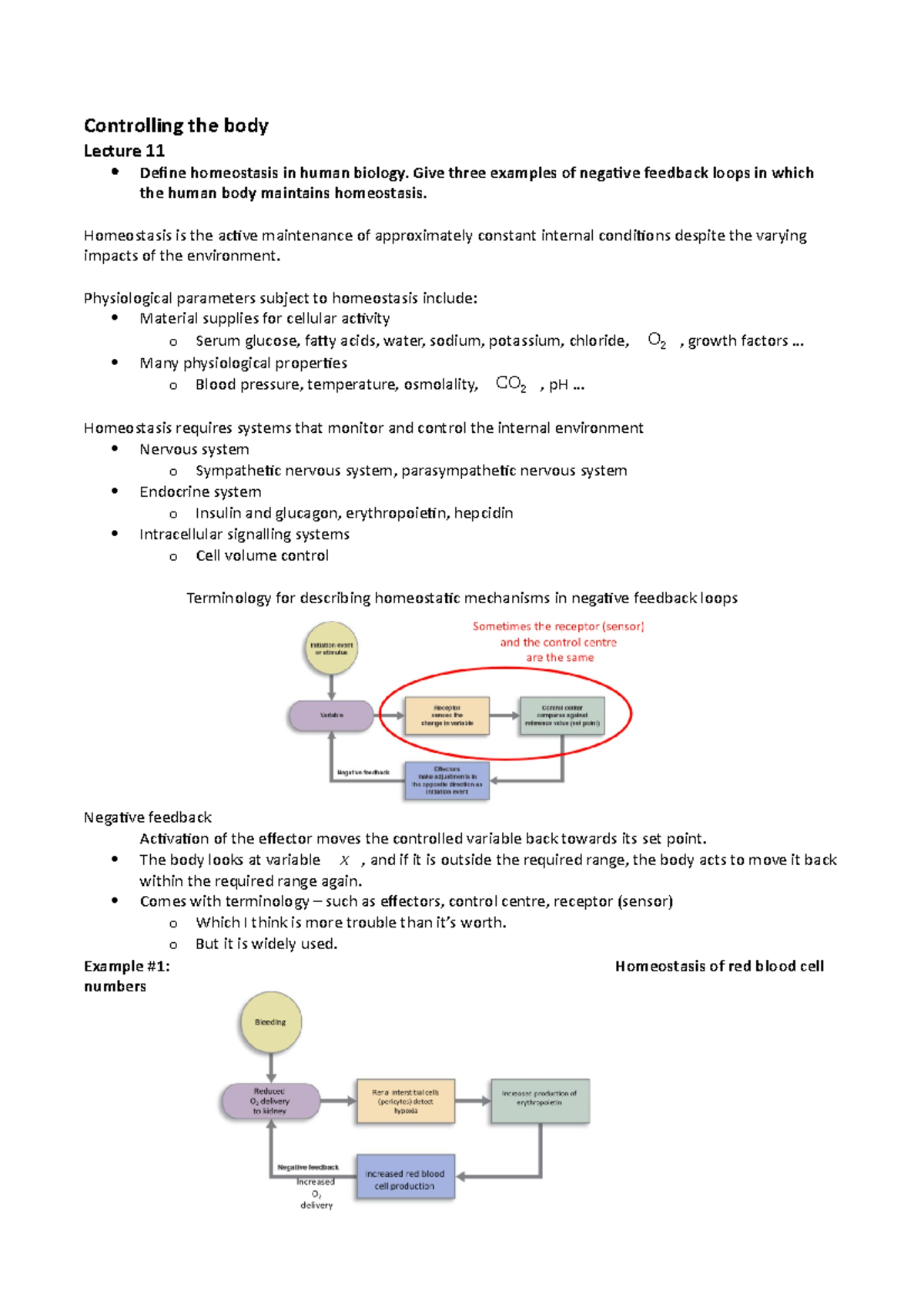 Biol1008 Controlling The Body Controlling The Body Lecture 11 Define Homeostasis In Human Studocu Biol1008 Controlling The Body Controlling The Body Lecture 11 Define Homeostasis In Human Studocu