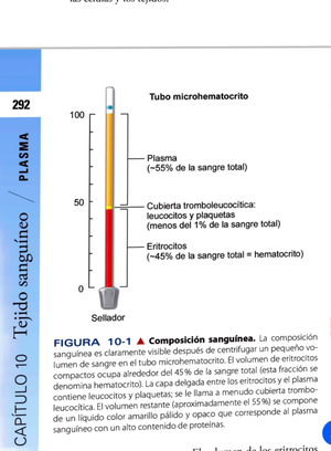 Indice de pavlov 10 UNIVERSIDAD NACIONAL DE LA RIOJA Índice de