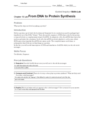 Kami Export Joshua Rigby Dna To Protein Name Class Date Guided Inquiry Skills Lab Chapter 13 Studocu