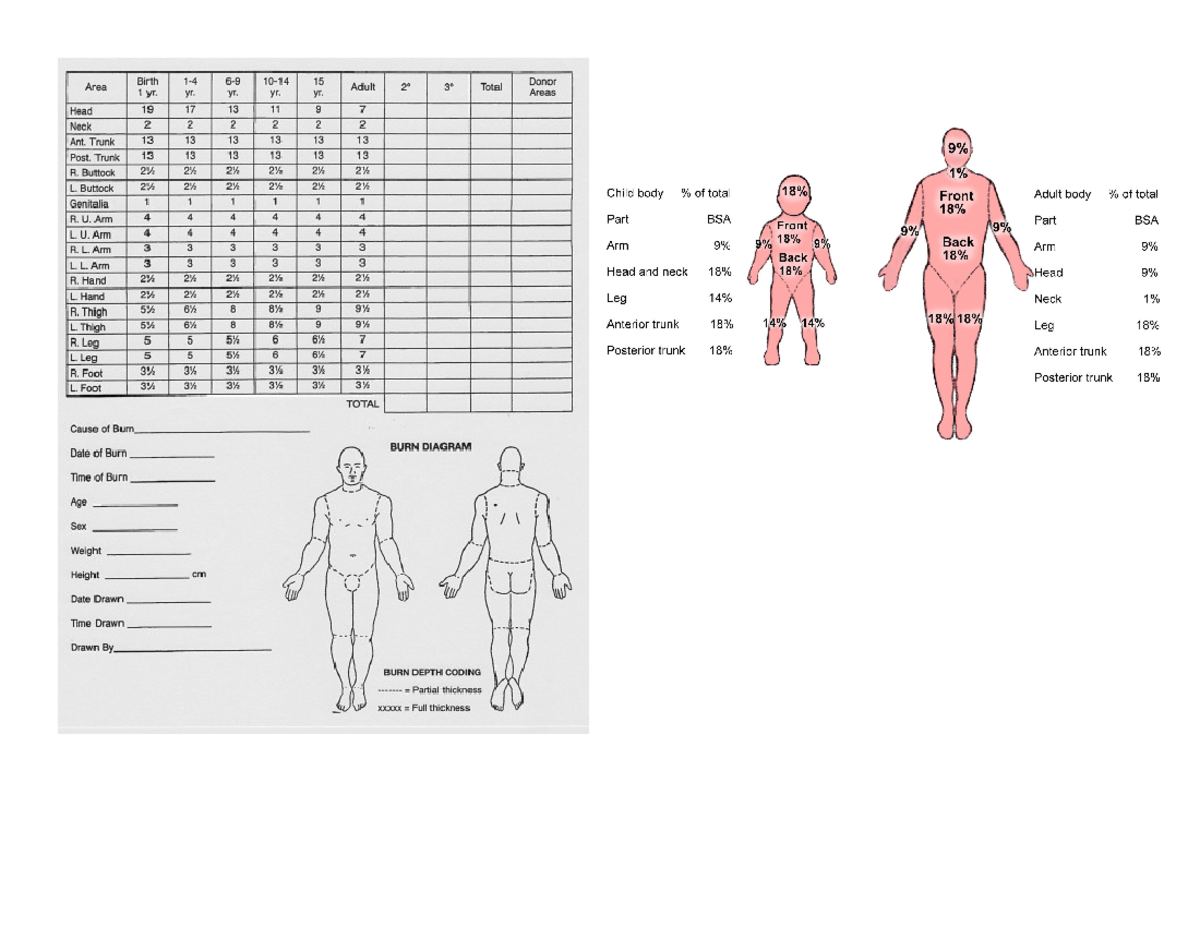 Wk 5 - Calculating Burns - //there are several different ways that we ...