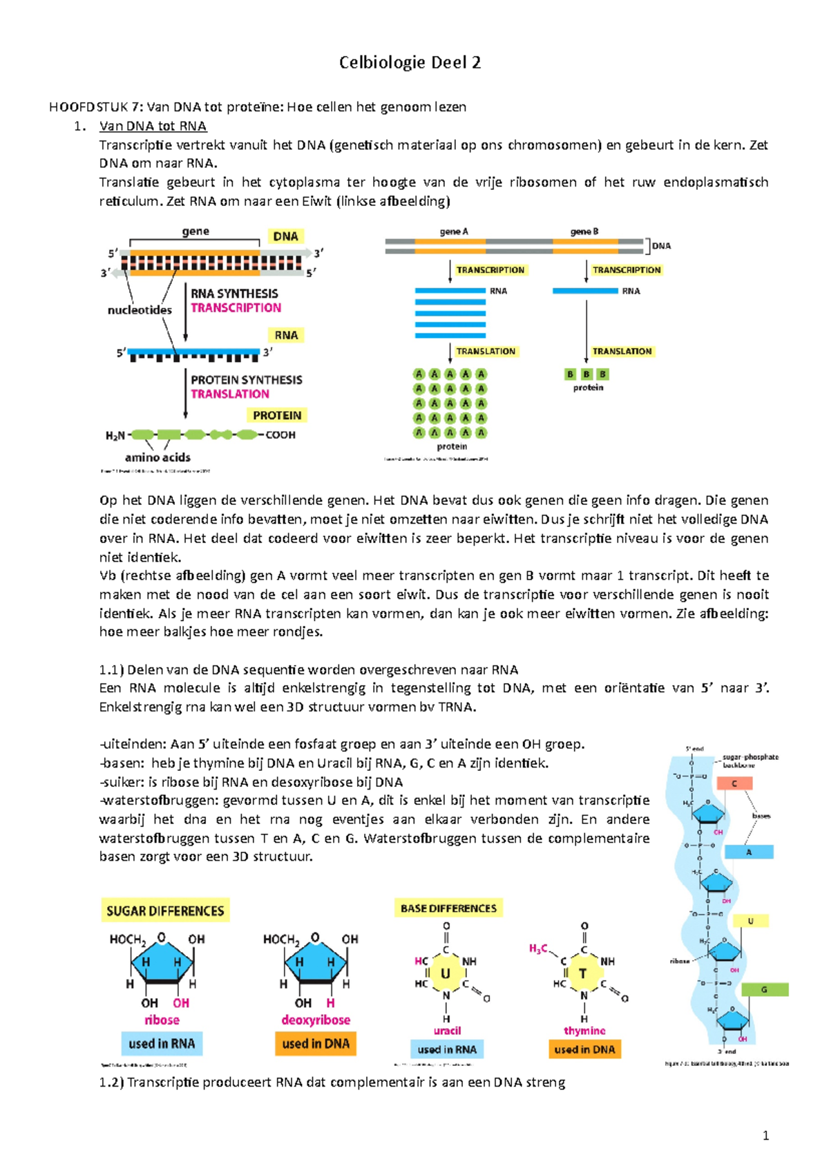 Samenvatting Celbiologie Semester 2 - Celbiologie Deel 2 HOOFDSTUK 7 ...