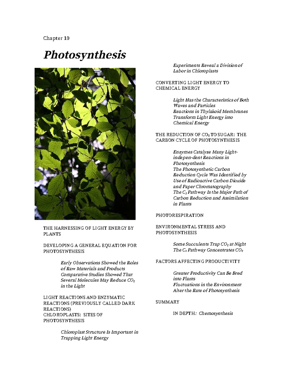 Converting Light Energy Chapter 10 Photosynthesis THE HARNESSING OF