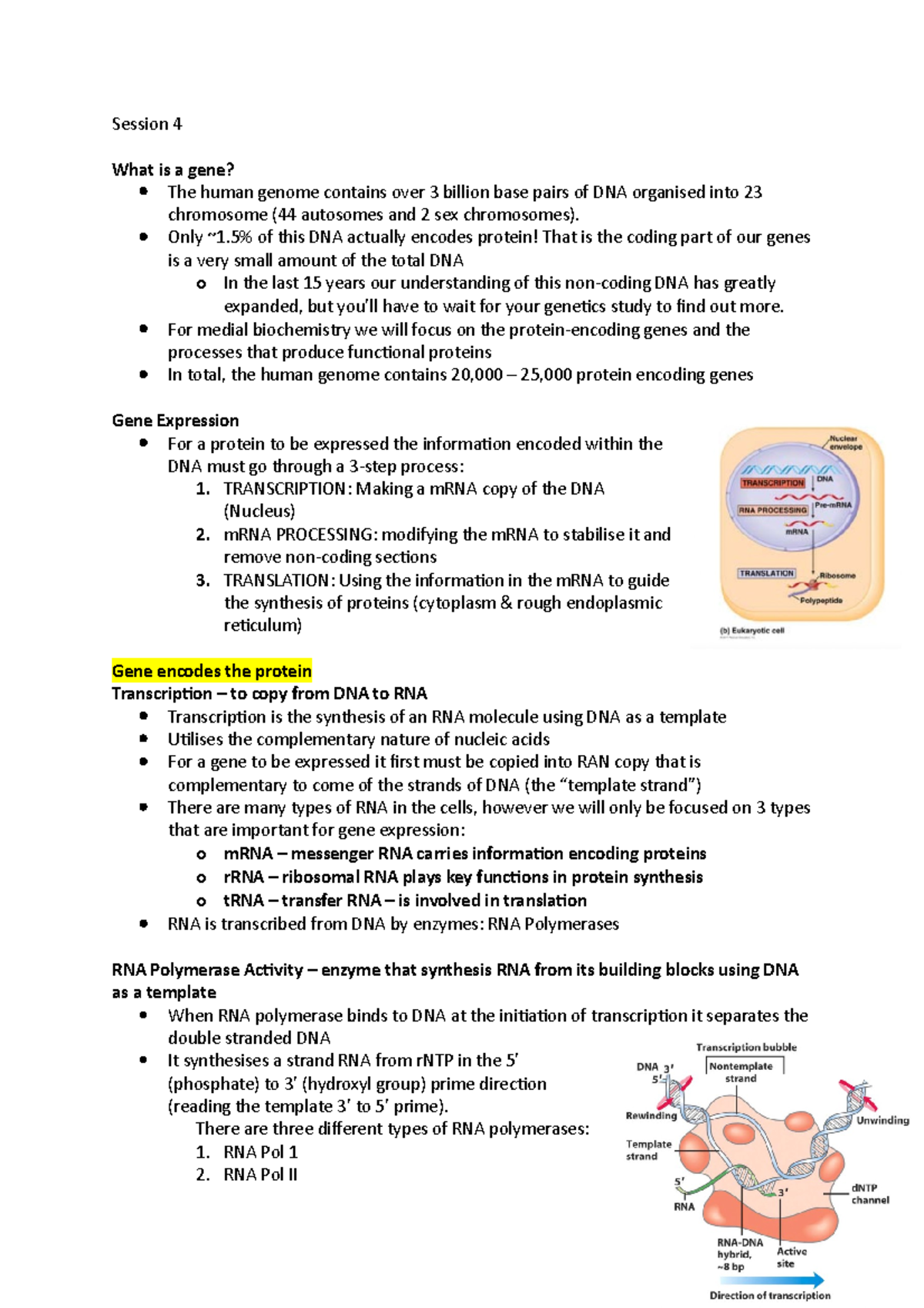 Biochemistry test 2 notes - Session 4 What is a gene? The human genome ...