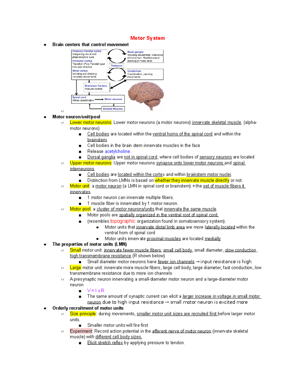 Bio 222 Finals notes - Motor System Brain centers that control movement ...