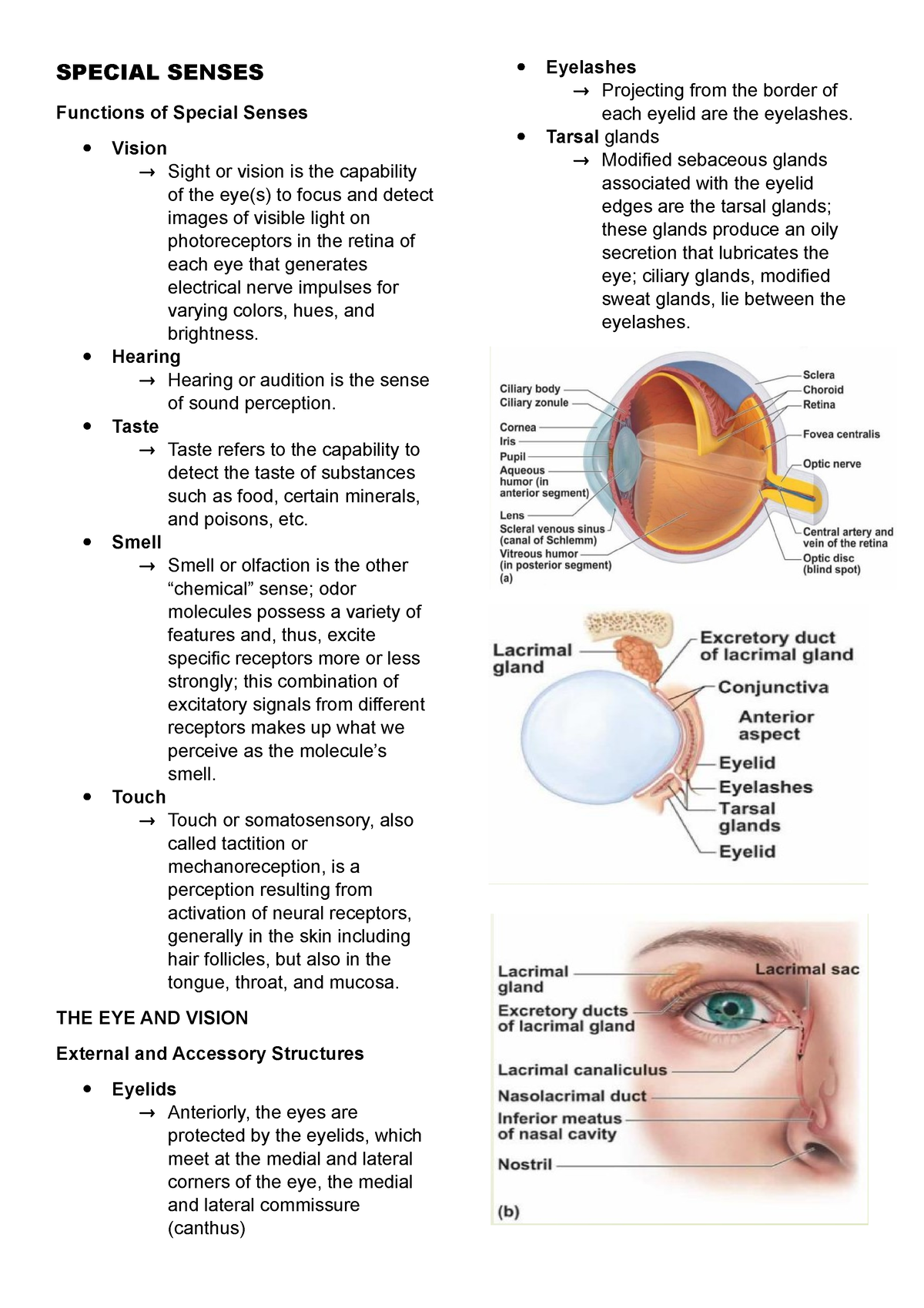 5 Senses Definition And Examples