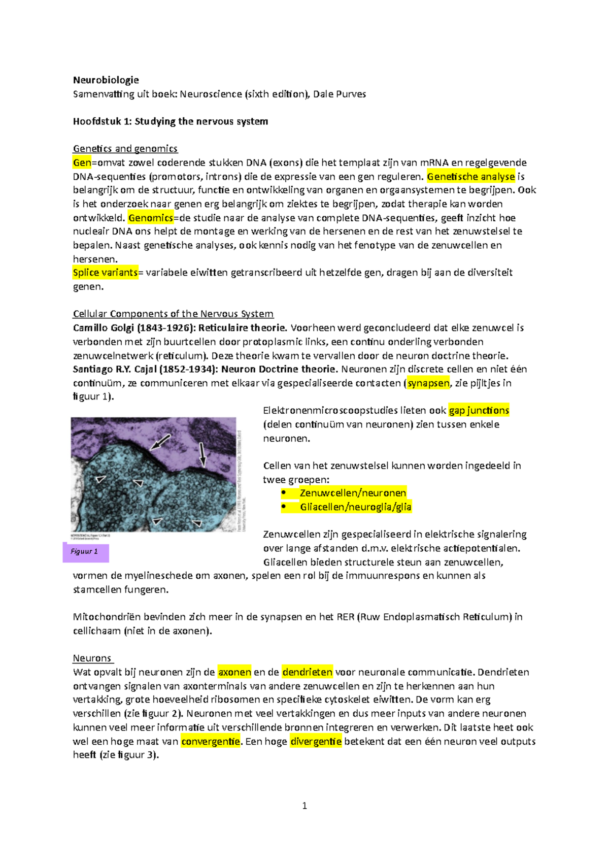 Neurobiologie Samenvattingen - Neurobiologie Samenvatting Uit Boek ...