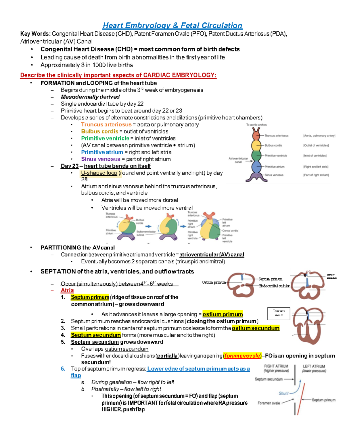 CV - embryology, CHD, PVD, arrythmia, endocarditis - Foramen ovale ...