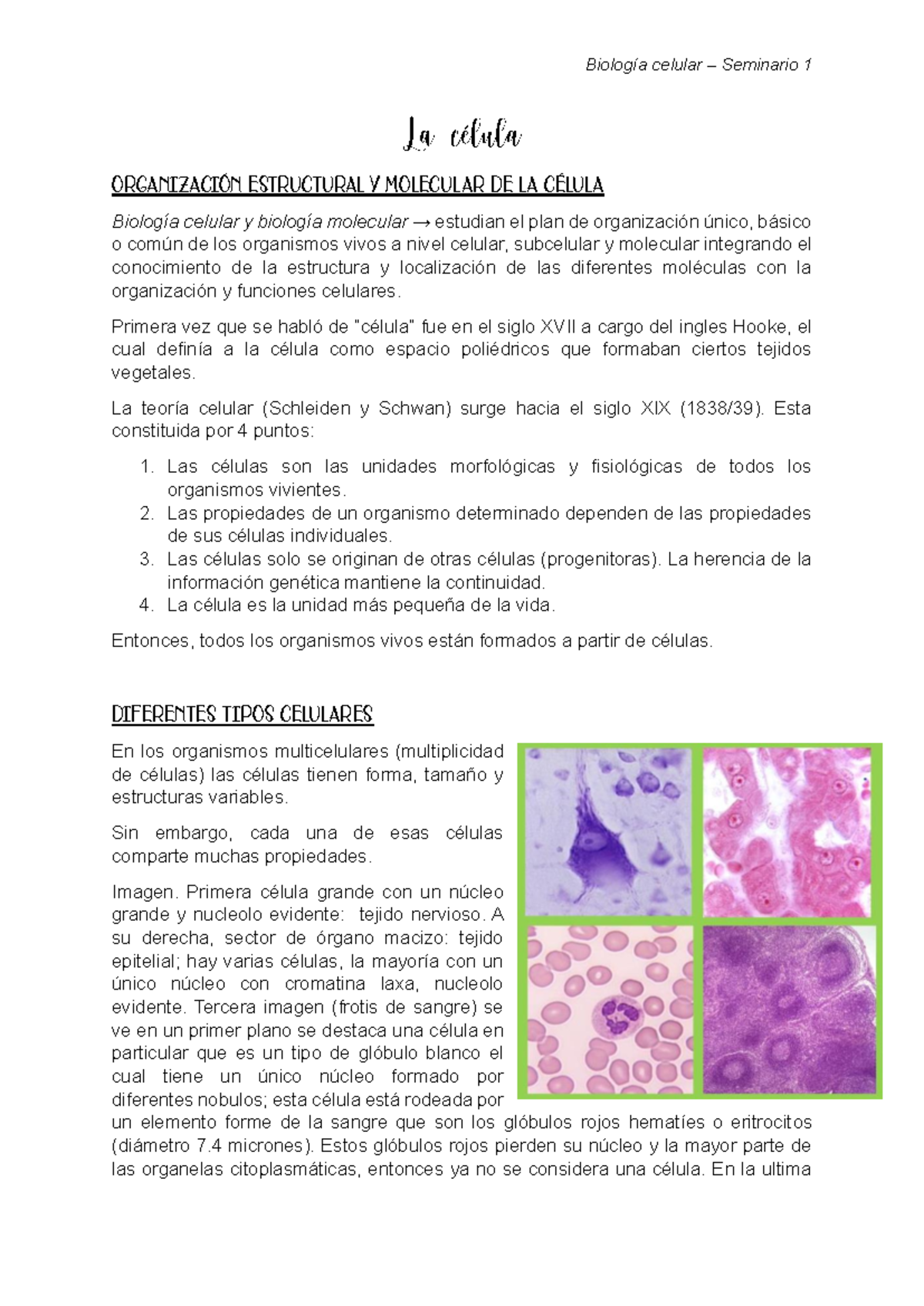 Biología Seminario 1 Célula OrganizaciÓn Estructural Y Molecular De La CÉlula Biología 2817