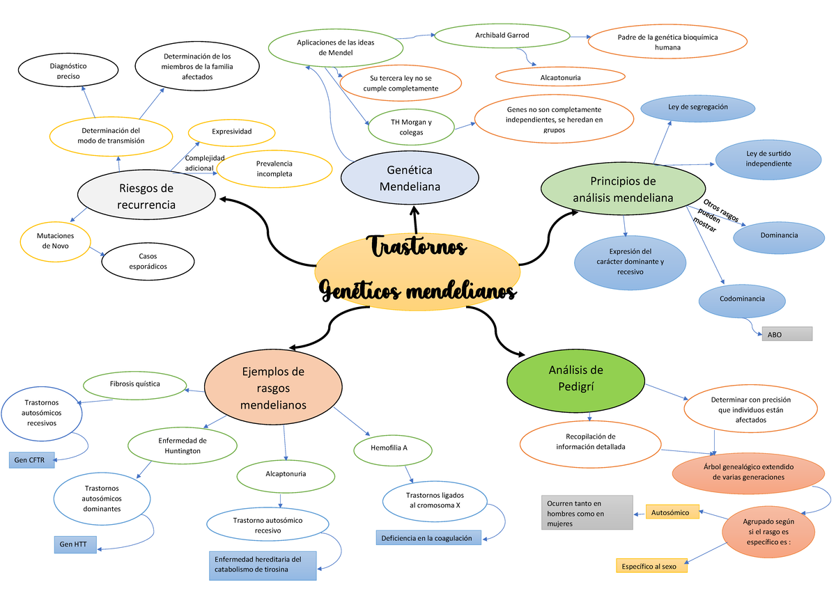 MAPA Mental Seminario 3 - Trastornos Genéticos mendelianos Genética  Mendeliana Análisis de Pedigrí - Studocu