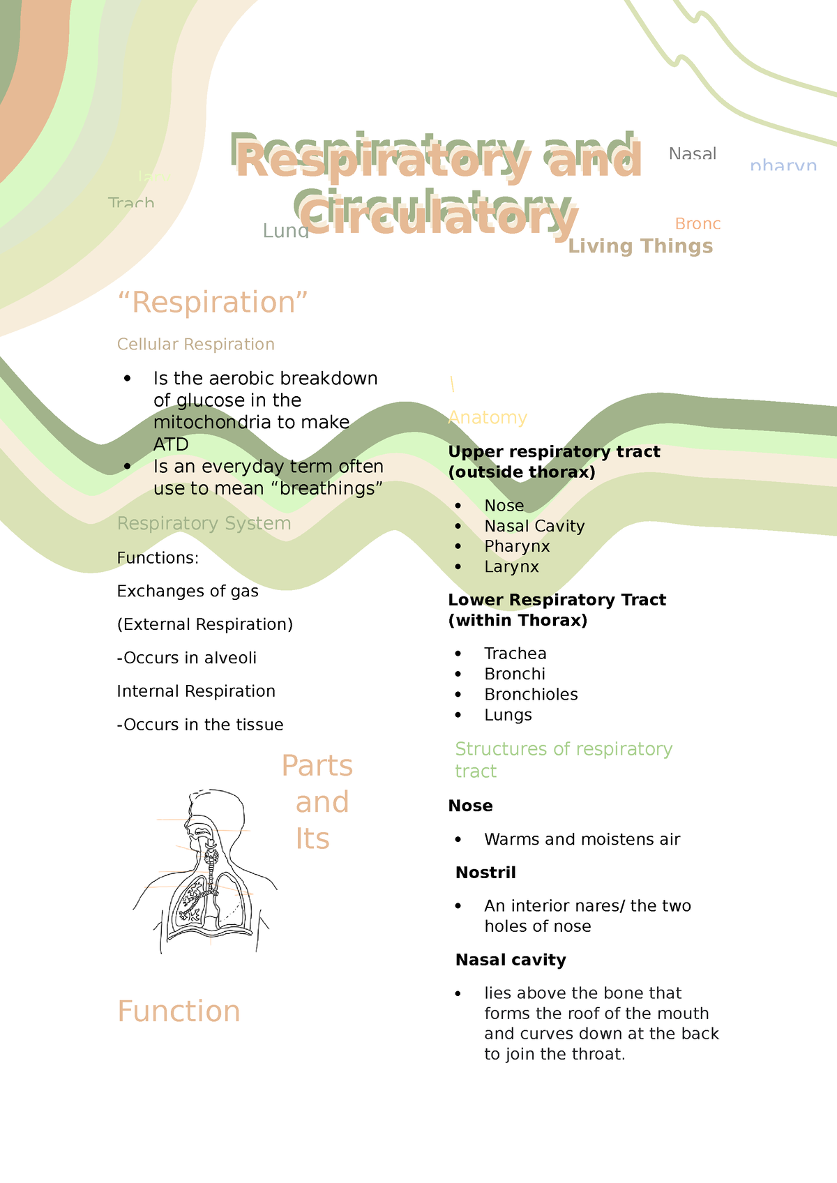 Science 9 Quarter 1 - “Respiration” Cellular Respiration Is the aerobic ...