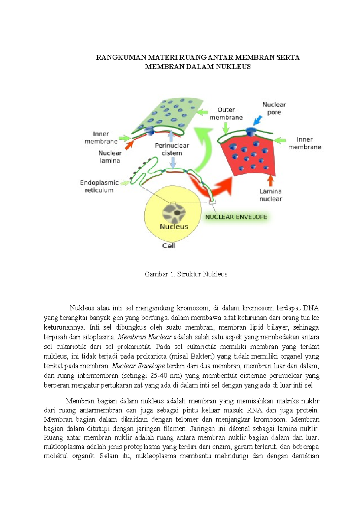 Rangkuman Biologi Sel - RANGKUMAN MATERI RUANG ANTAR MEMBRAN SERTA ...