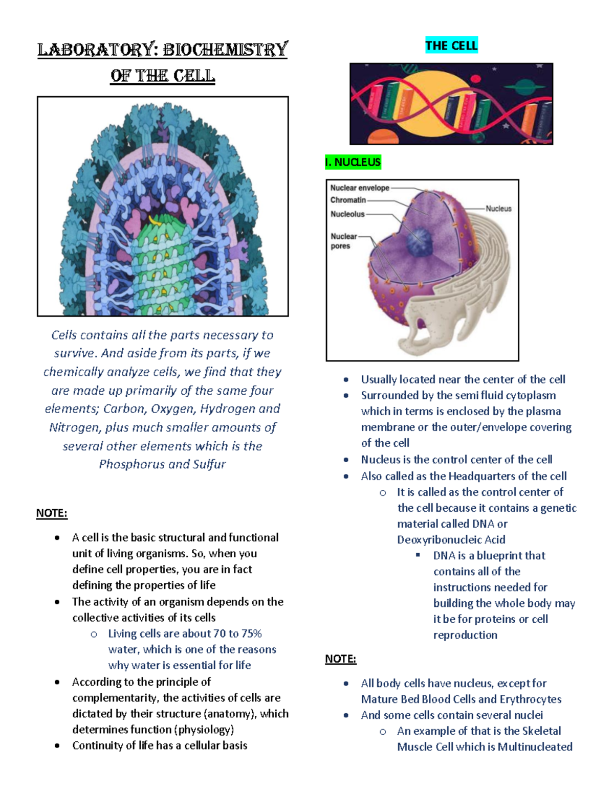 Biochem Laboratory ( Prelims ALL) - THE CELL LABORATORY: BIOCHEMISTRY ...
