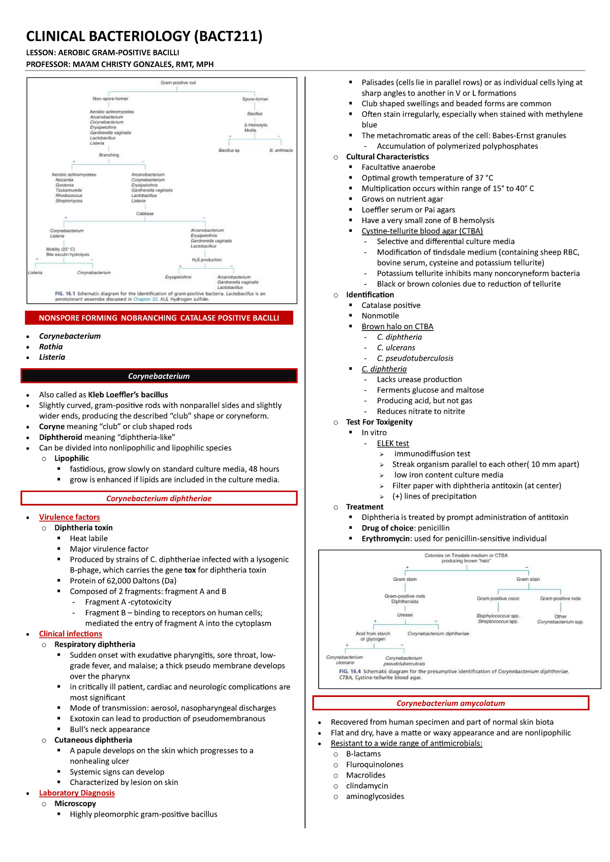 AEROBIC GRAM-POSITIVE BACILLI - CLINICAL BACTERIOLOGY (BACT211) LESSON ...