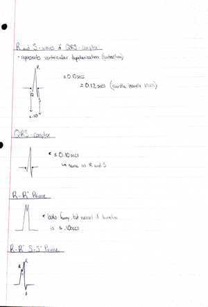 Assignment 5 - The steps involving excitation-contraction coupling of ...