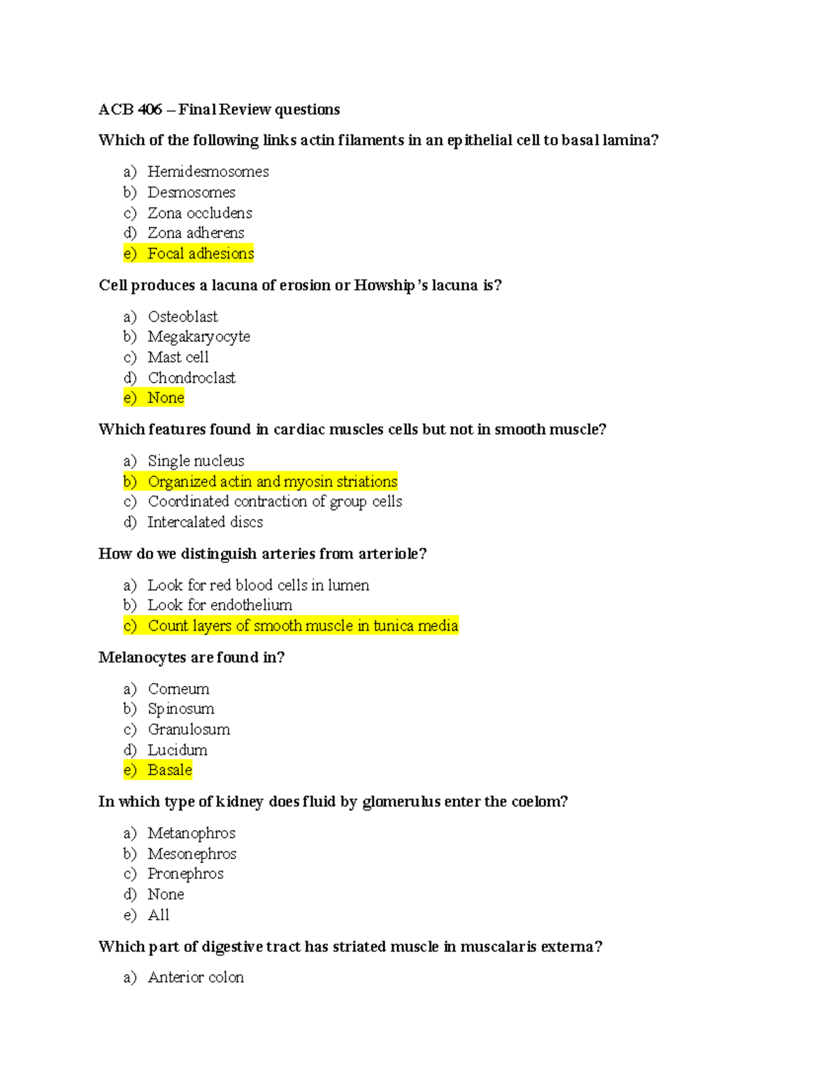 ACB 406 Review Questions - ACB 406 – Final Review Questions Which Of ...