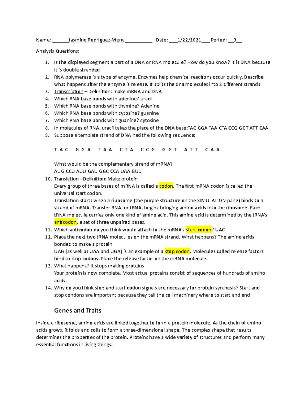 Protein Synthesis Gizmos Name Jasmine RodriguezMena____ Date 1/22